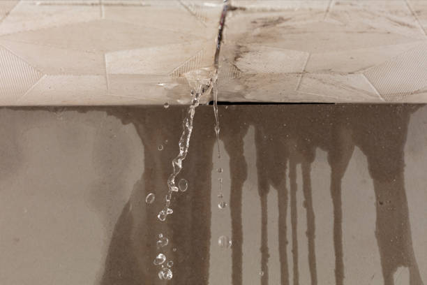Professional Structural Drying technician working in Wheeler, TX
